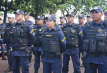 Em um ano GCM tira de circulação 2,5 toneladas de drogas e captura 157 foragidos