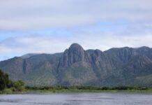 Para preservar o Pantanal, PSA Brigadas destinou mais de R$ 6,1 milhões para diferentes projetos sustentáveis