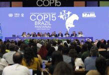 Campo Grande recebe COP15 e coloca Pantanal no centro do debate ambiental global