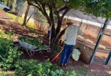 Alternativas penais ampliam impacto social e fortalecem instituições em Mato Grosso do Sul