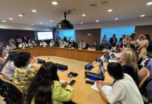 Programa de Mato Grosso do Sul de combate à violência contra mulheres é apresentado na ONU