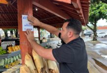 Campo Grande amplia internet gratuita e lança aplicativo que reúne serviços públicos