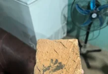 Após sequência de agressões, mulher reage e mata companheiro com tijolo em Bela Vista