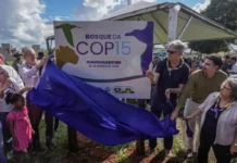 COP15 em Campo Grande deixa legado de conscientização ambiental