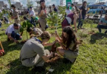COP15 inclui mais 40 espécies em regras de proteção