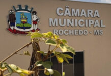 Ministério Público recomenda anulação de eleição antecipada da Câmara de Rochedo