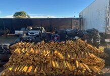 GARRAS intercepta esquema de tráfico e apreende quase 4 toneladas de maconha em Campo Grande