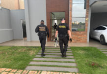 PF mira esquema de fraudes bancárias que movimentou mais de R$ 120 milhões em operação contra grupo criminoso
