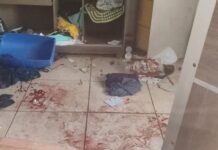 Polícia Civil prende últimos envolvidos em tentativa de latrocínio brutal no Jardim Columbia