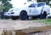 Homem é preso após matar gato da vizinha a pauladas em Jardim