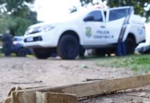 Homem é preso após matar gato da vizinha a pauladas em Jardim