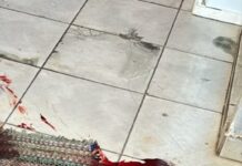 GOI prende homem apontado como autor de duplo assassinato em Campo Grande