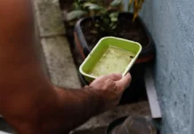 El Niño pode aumentar casos de chikungunya e dengue no Brasil