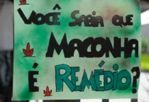 Assembleia do Ceará sedia simpósio sobre cannabis medicinal