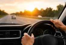 Dia do Motorista: número de habilitados cresce 19% em 10 anos e revela perfil diversificado dos condutores em MS
