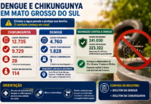 Boletim Epidemiológico: MS registra 9.729 casos confirmados de chikungunya