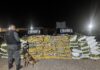 Choque encontra bunker com mais de 1,2 tonelada de maconha e causa prejuízo de R$ 2,5 milhões ao crime em Campo Grande