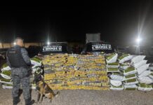 BATALHÃO DE CHOQUE APREENDE MAIS DE 1,2 TONELADA DE MACONHA DURANTE A OPERAÇÃO PROTETOR EM CAMPO GRANDE