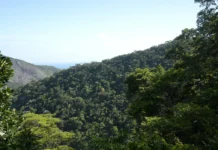 Plano mobiliza R$ 500 bi para financiamento sustentável no Brasil