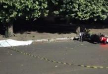 Motociclista morre após perder controle e bater de frente contra árvore na Capital