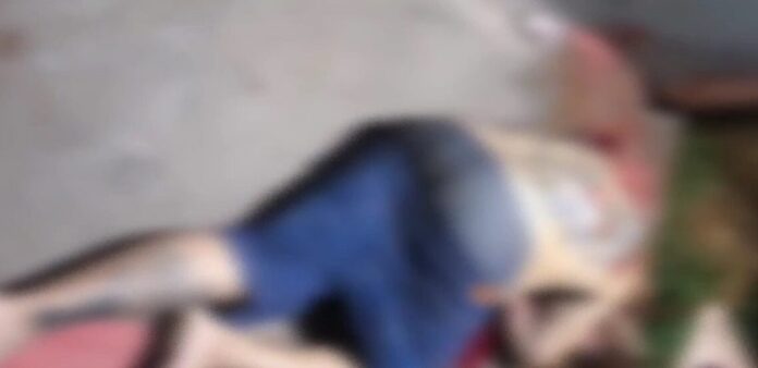 morto-1140x553