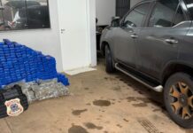 PF prende homem e apreende quase meia tonelada de maconha e skunk em Ponta Porã